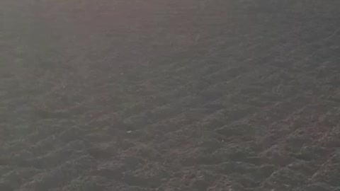 Horse bucks and kicks during ground work