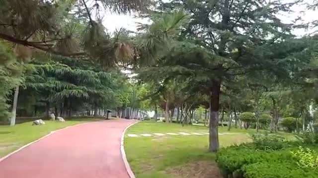 On both sides of the runway, there are green trees and red flowers