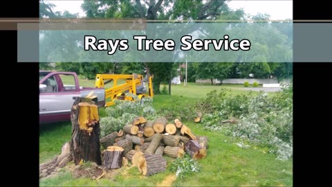 Rays Tree Service