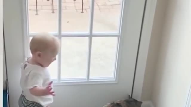 Baby Dance wit Cat