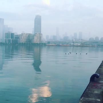 Toronto Water front early morning
