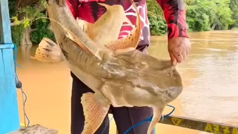 take your time, let's go fishing