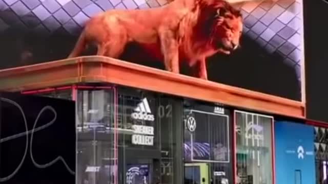 3D billboard video