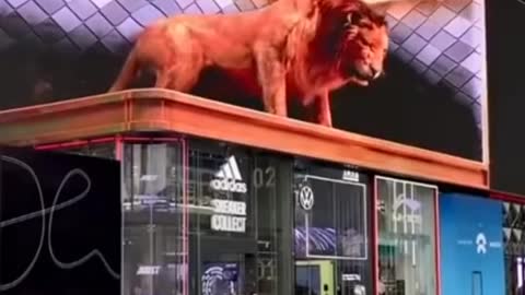 3D billboard video