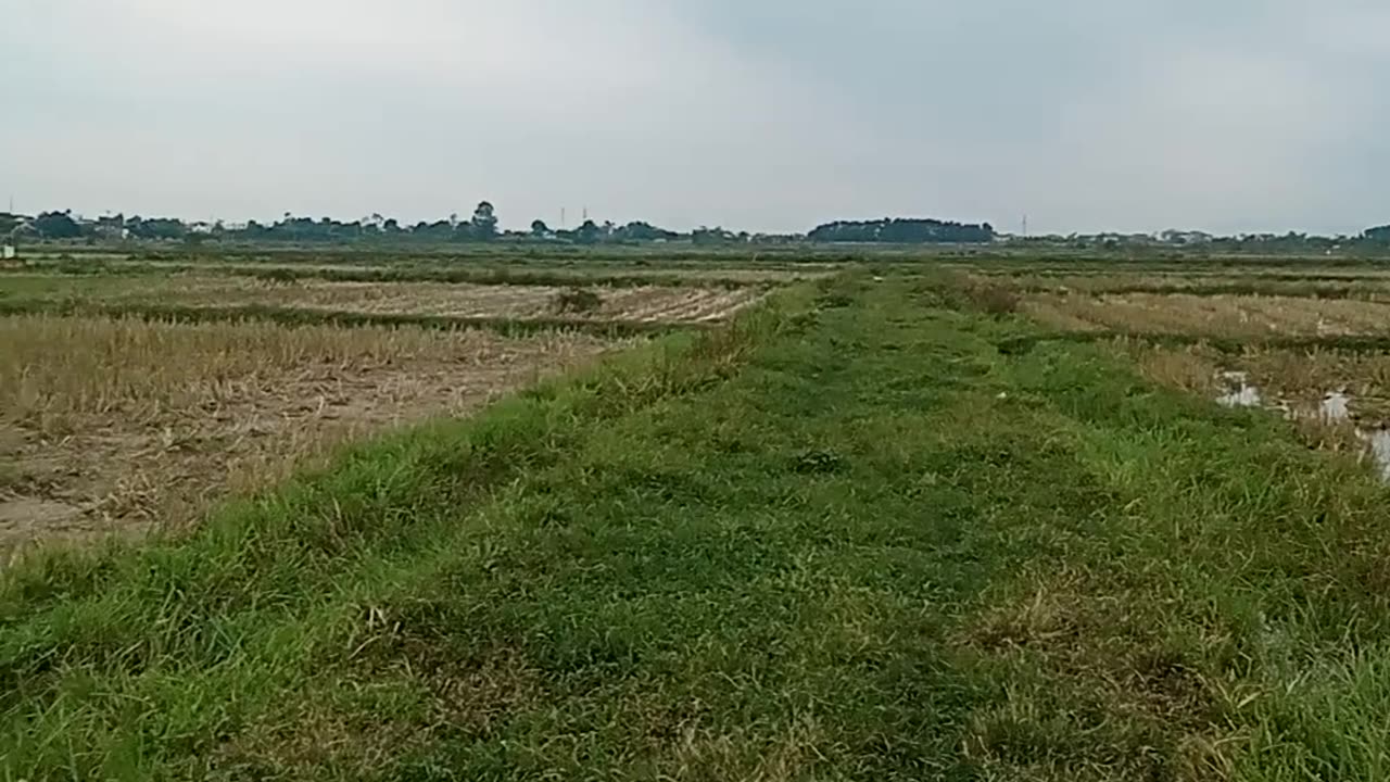 Vietnam rural landscape