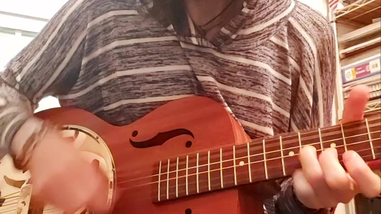 "Oliver Anthony Dunnit For Clicks" | 09.26.2023 improvised dobro soul | Lome Marsupial Esquire