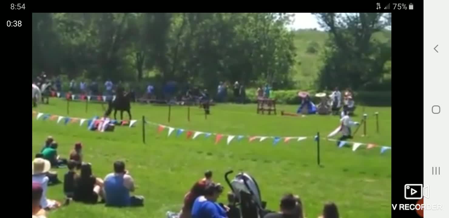 Renaissance Fair Joust and mock fight good fun.