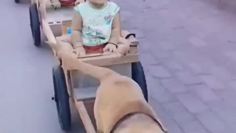 Sliding dogy bukko