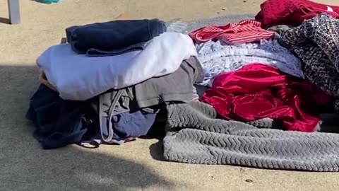 The End 😂😂😂 #viral #shorts #reels #funny #fails #LaughPeriod
