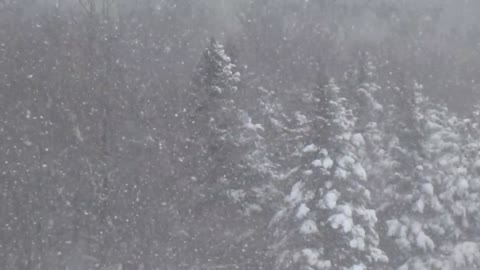 Heavy Snow