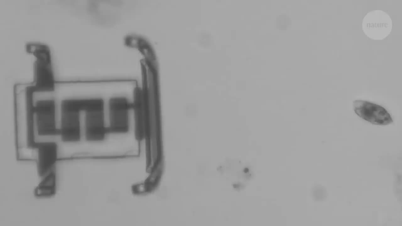 Graphene based nano-machines made injectible via needle