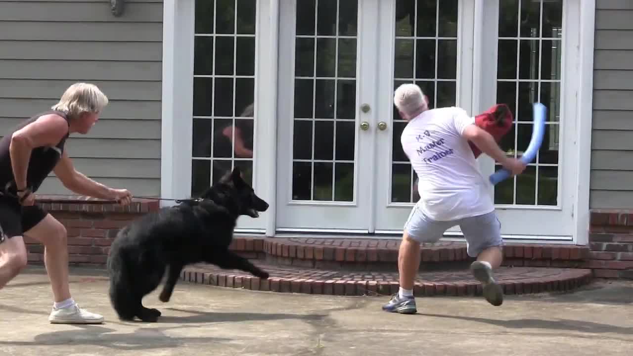 Step By Step GuardDog Training!