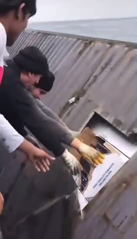 Cargo container full of Amazon products found middle of ocean