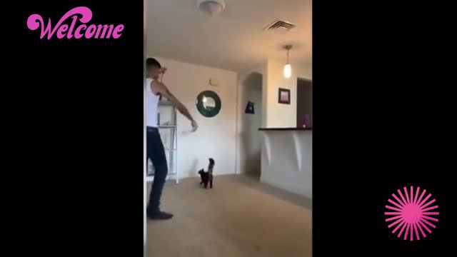 MY MISSION IS TO ENTERTAIN YOU. MY HOW THIS MAN TRAINS CAT.