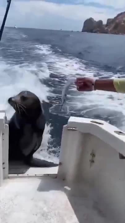 Life is warm and pure ❤️