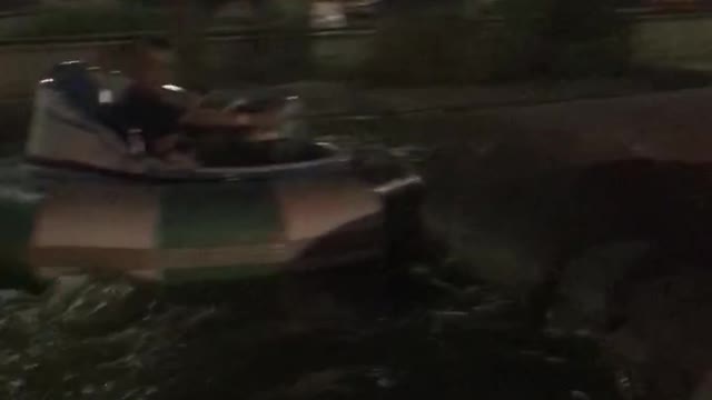 Video Number 23