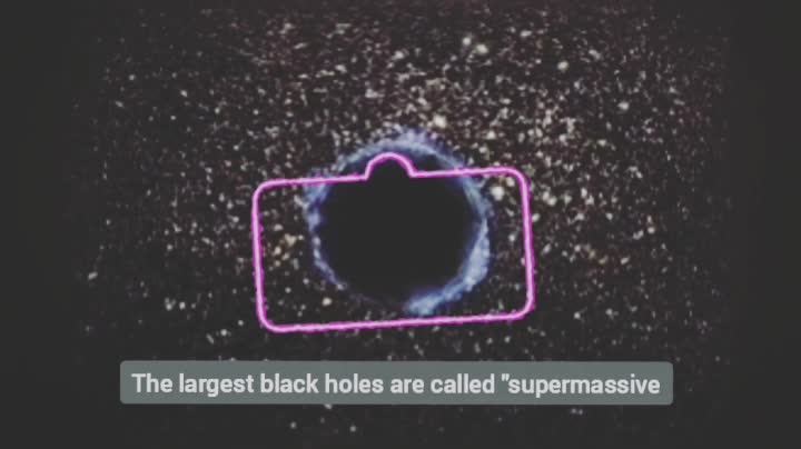 Black Holes