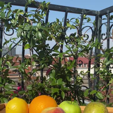 How to make real Spanish sangria