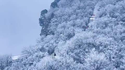 winter in china