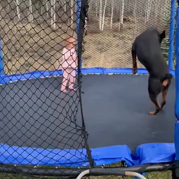 Two toddlers entertaining eachother