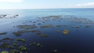 Drone View of South Shore - Lake Okeechobee