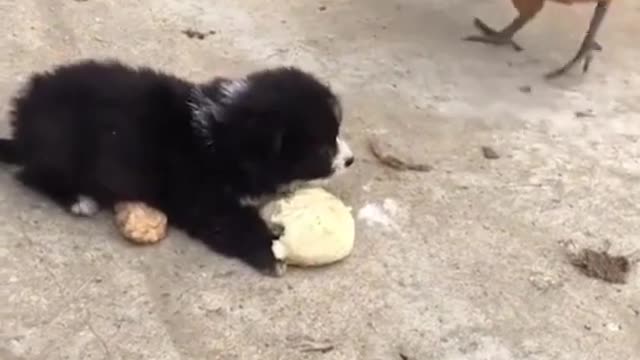 Don't touch my food!