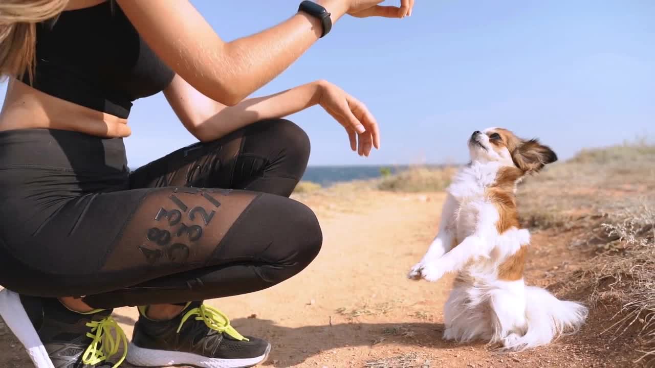 Young adult female spending weekend day together with little dog