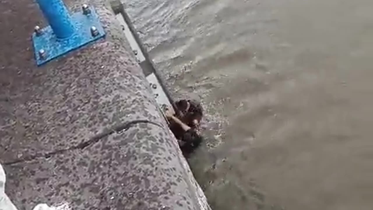 Two men jumped into the water to rescue a drowning victim today around noon in Molenbeek, Brussels.