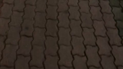 Video of walking the streets of Korea