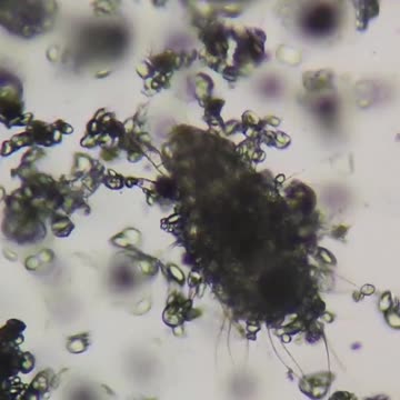 Don’t eat the Cheetos…. 👀