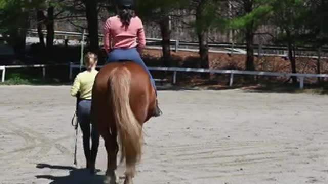 Horse traning cute girl