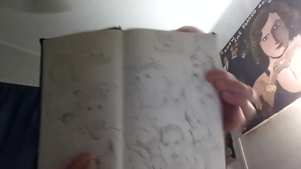 Sketch books