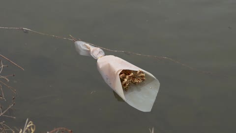 #Sad rose bouquet