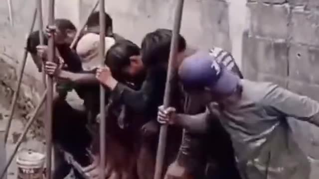 Try not to laugh