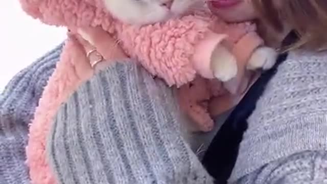 Most Beautiful Cat Ever on TikTok