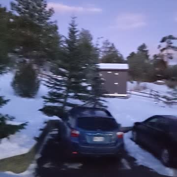 A Beautiful Colorado Sunrise