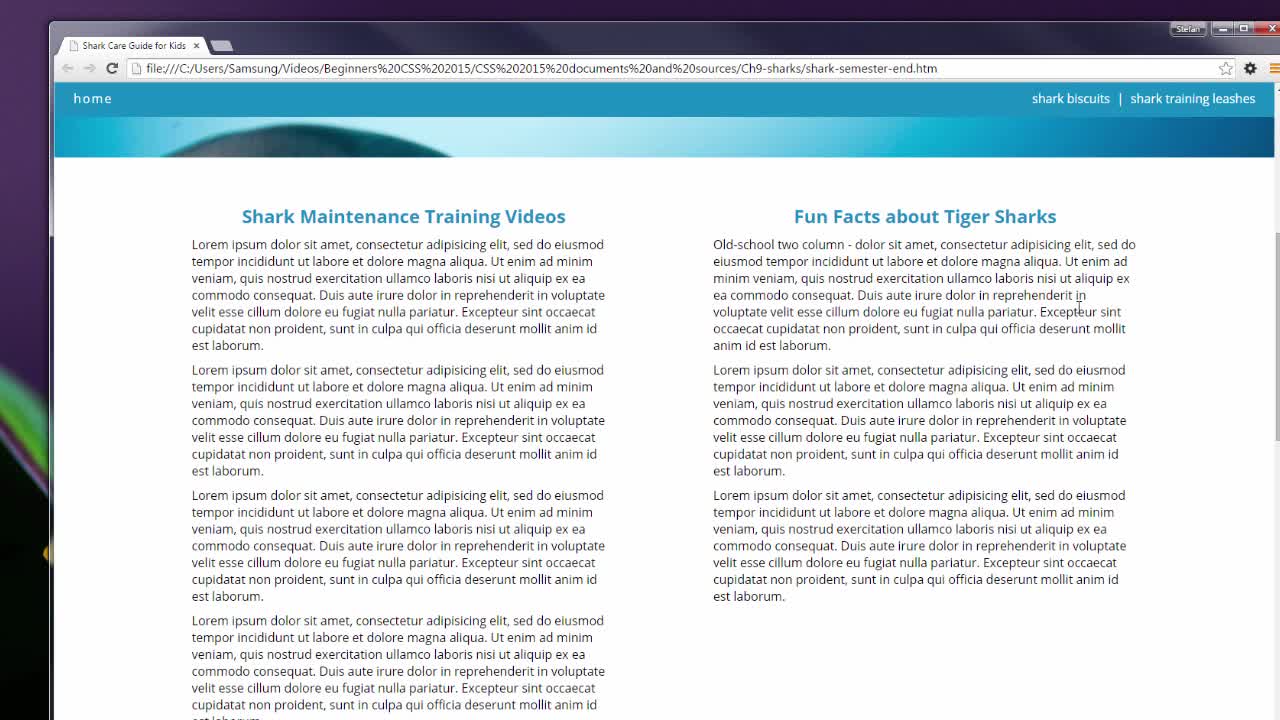 CSS3_Pro_ch9-l10-shark-3 (720p)