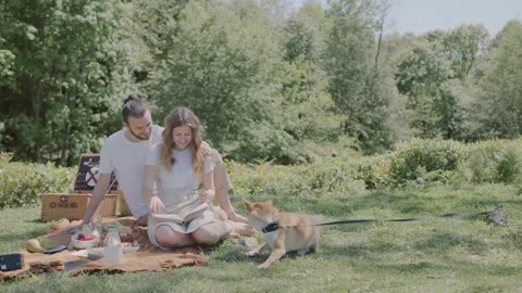 Couple Having A Picnic