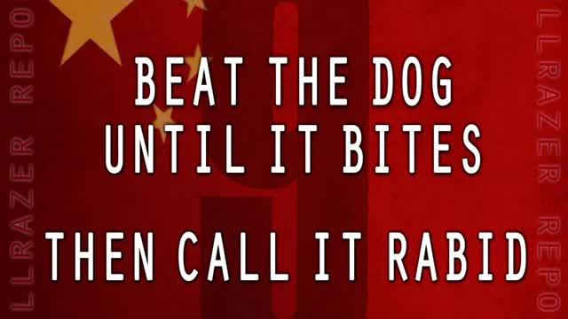 BEAT THE DOG UNTIL IT BITES...THEN CALL IT RABID