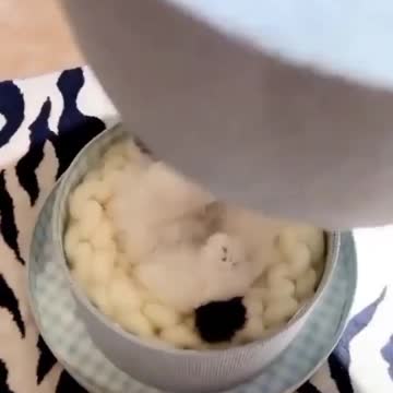 WHAT A LOVELY SUPRISE