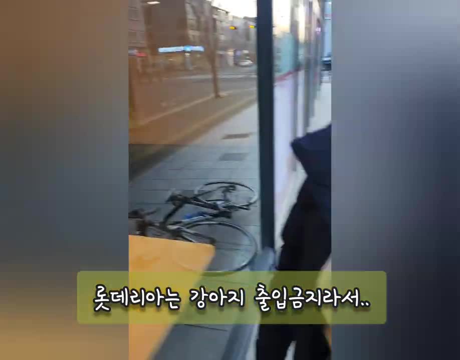 말티푸숑 +116&117일🐶(뚜비는 한국이 이길거라고 믿어요⚽️)