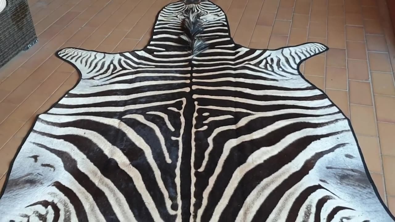 Felted Zebra Skin for client no3