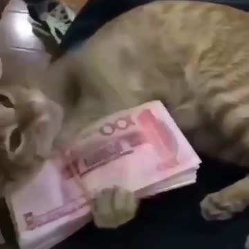 I love my beautiful buck kkkkkkkkkkkkkk