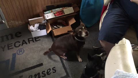 Crying chester kane wanting people food