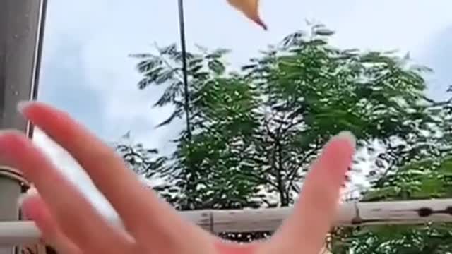 Cute and cute animals enjoying life