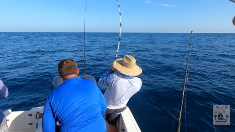 Red Snapper Season in Florida! ep 1.