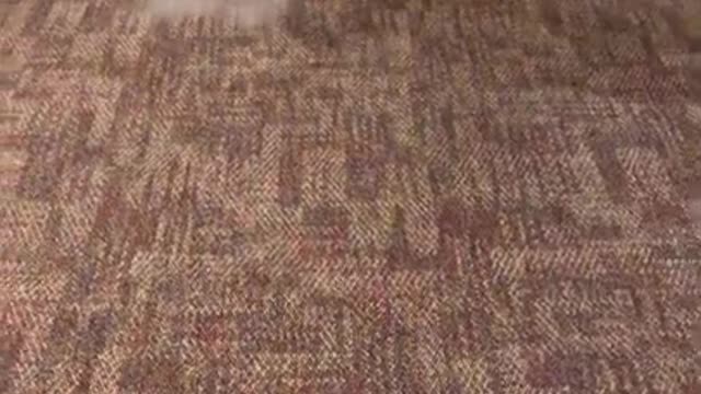 Superior Commercial Carpet Cleaning In Modesto CA