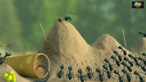 Red Ant Vs Black Ant Movie clip