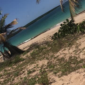 Vieques Puerto Rico love it