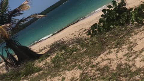 Vieques Puerto Rico love it